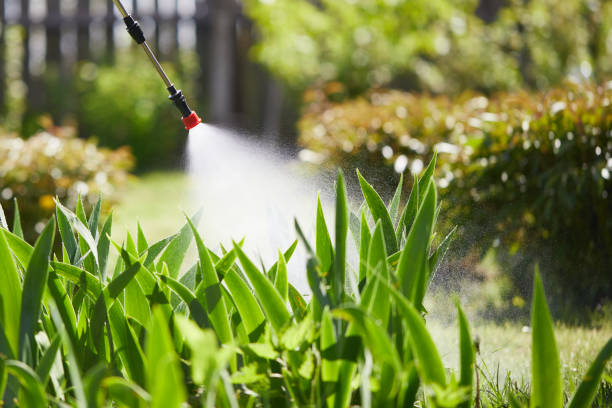 24/7 Emergency Fumigation Services experts in Ohkay Owingeh, NM